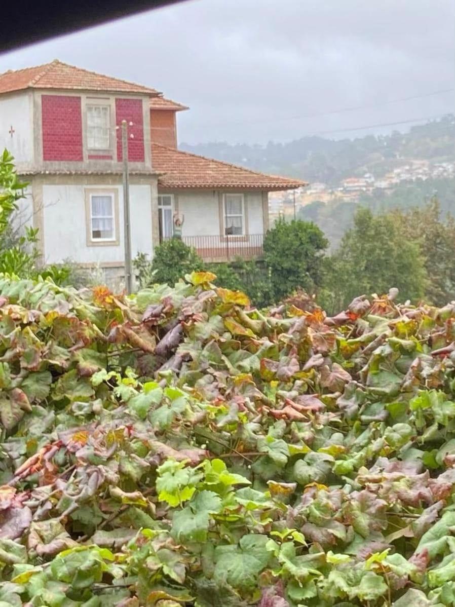 فيلا Quinta Da Chentuada أمارانتي المظهر الخارجي الصورة