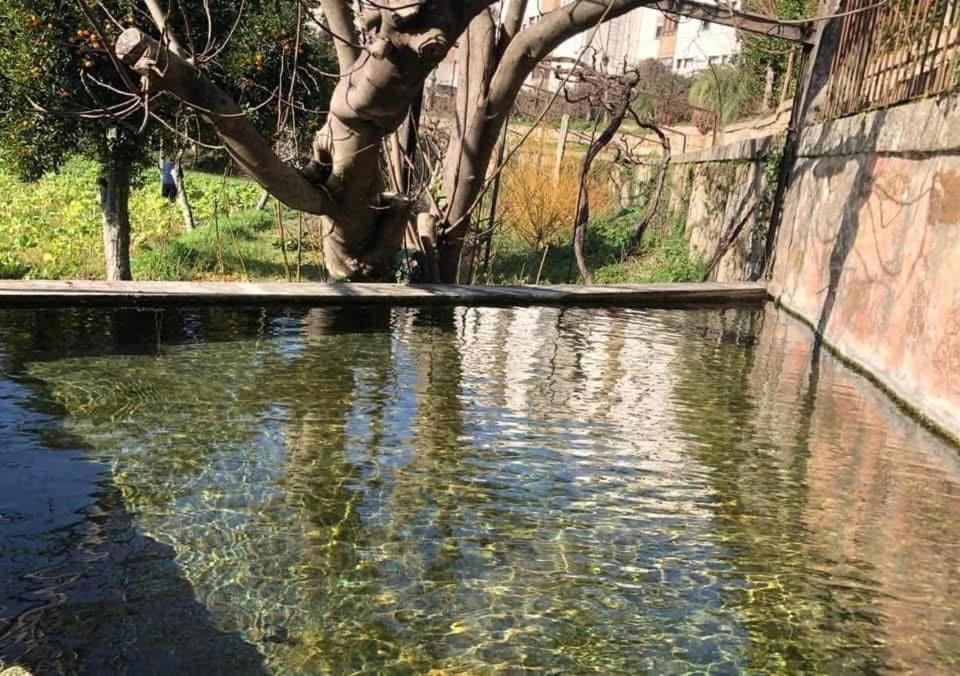 فيلا Quinta Da Chentuada أمارانتي المظهر الخارجي الصورة